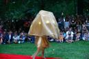 Le Voyage d une Crinoline 9 * 4368 x 2912 * (5.49MB)